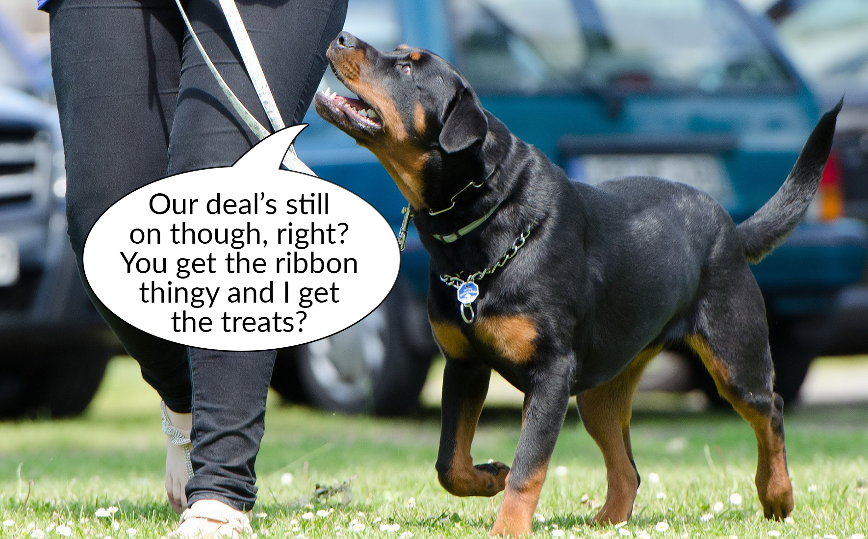 Some of your entrants may value other prizes above rosettes...