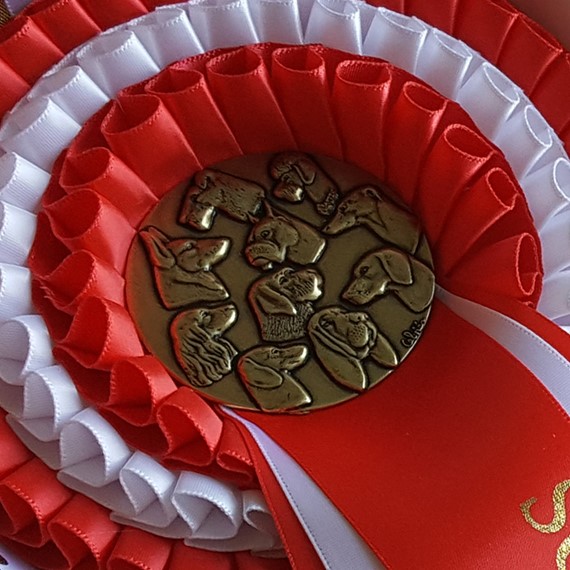 Gold canine medal centre